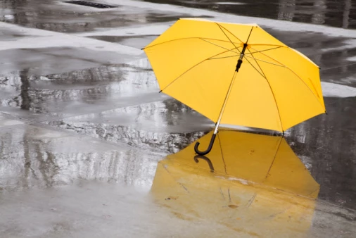 yellow umbrella
