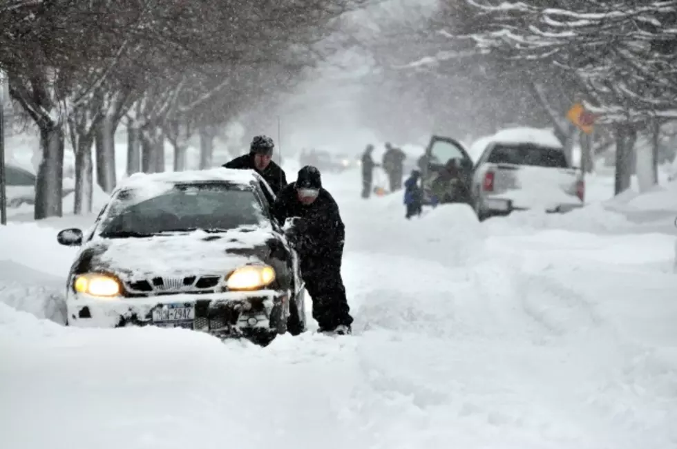 Buffalo—Rough Winter Coming This Year
