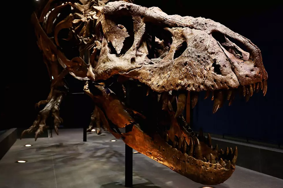 DinoFest is BACK at the Buffalo Science Museum