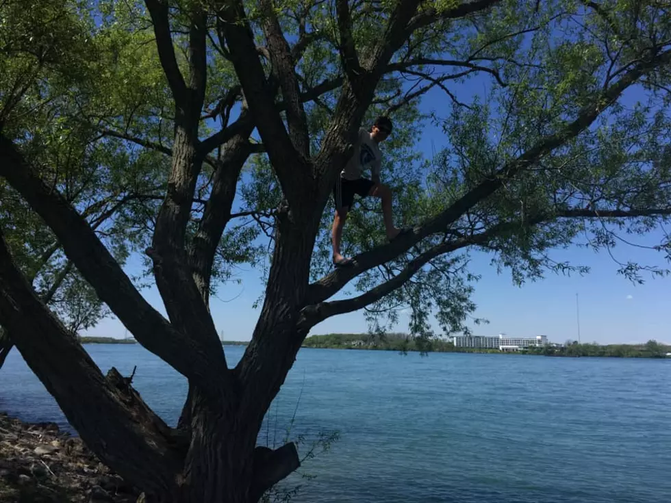 Top 5 Parks In Western New York With Free Admission