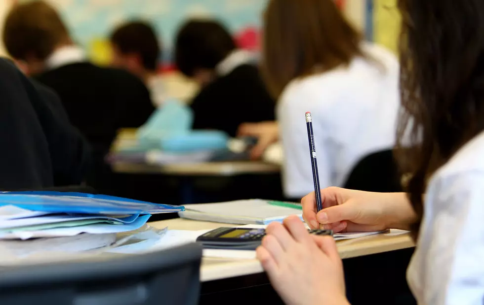 Should Every High School in WNY Offer This Unique Program?