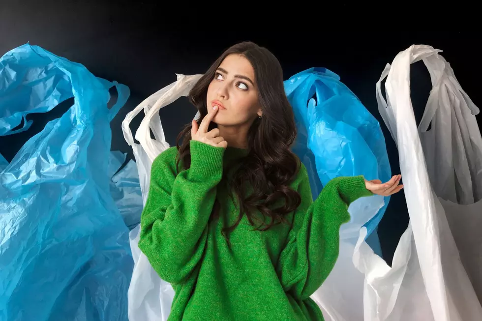 Did You Know You Can Still Get Plastic Grocery Bags In New York?