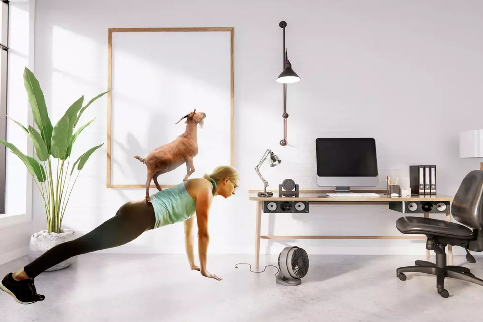 Goat Yoga Coming To Your Office In Western New York Soon?