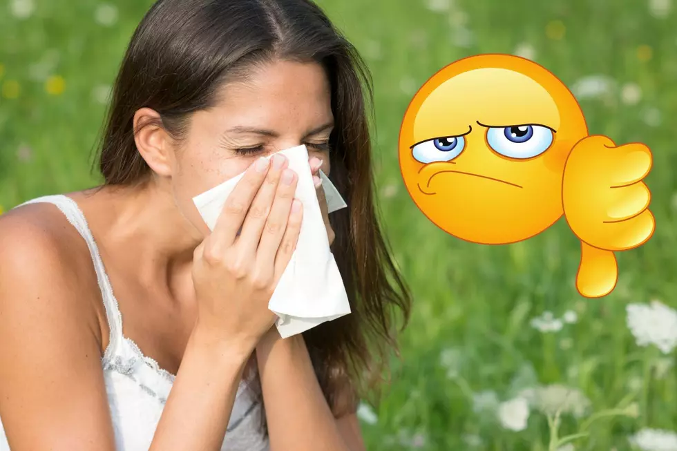 Buffalo Is One Of The Worst Cities In The Nation For Grass Allergies