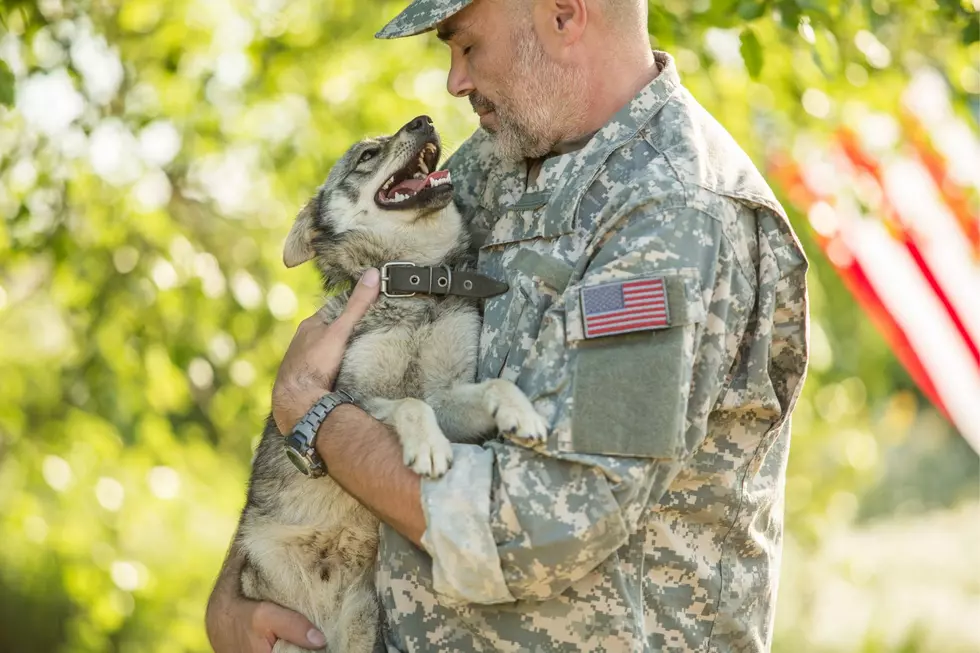 Military Members Can Get A Forever Friend For Free At The SPCA