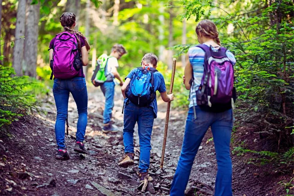 The Best Beginner Hiking Trails In The Buffalo Area