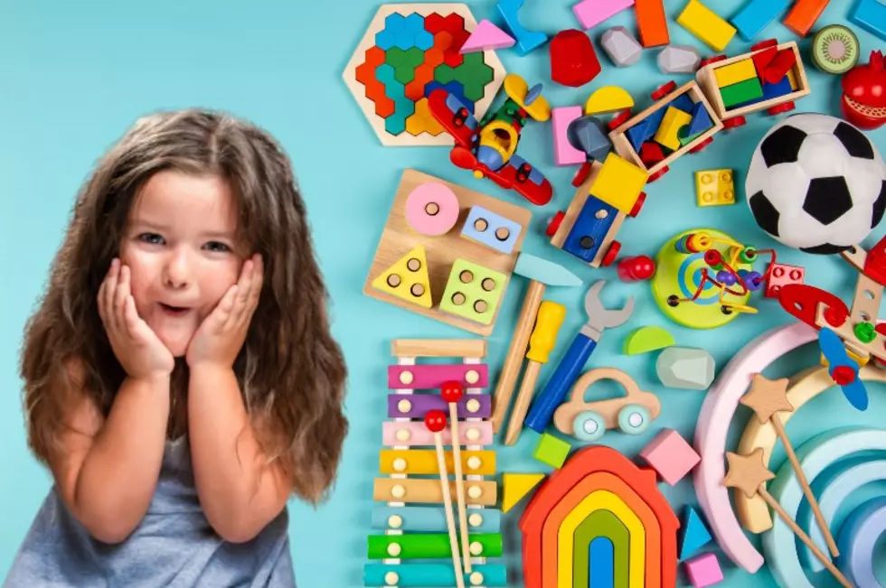 Could Your Favorite Childhood Toy Make It Into The National HOF?