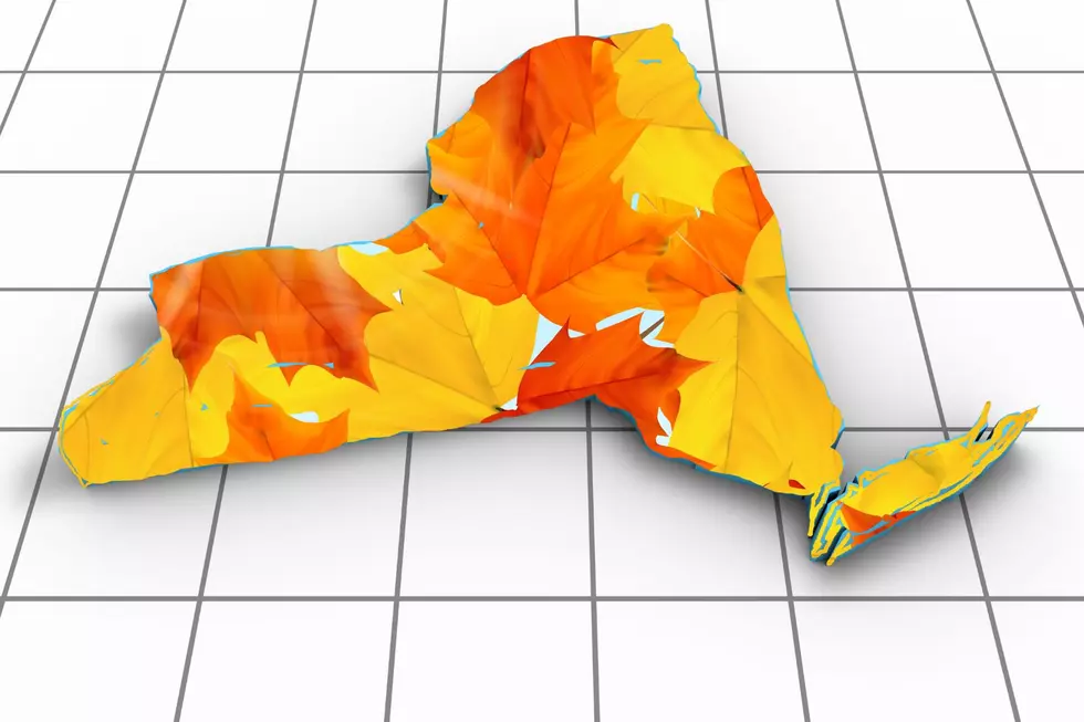 Best Fall Leaf Areas Revealed In The New 2024 Fall Foliage Map
