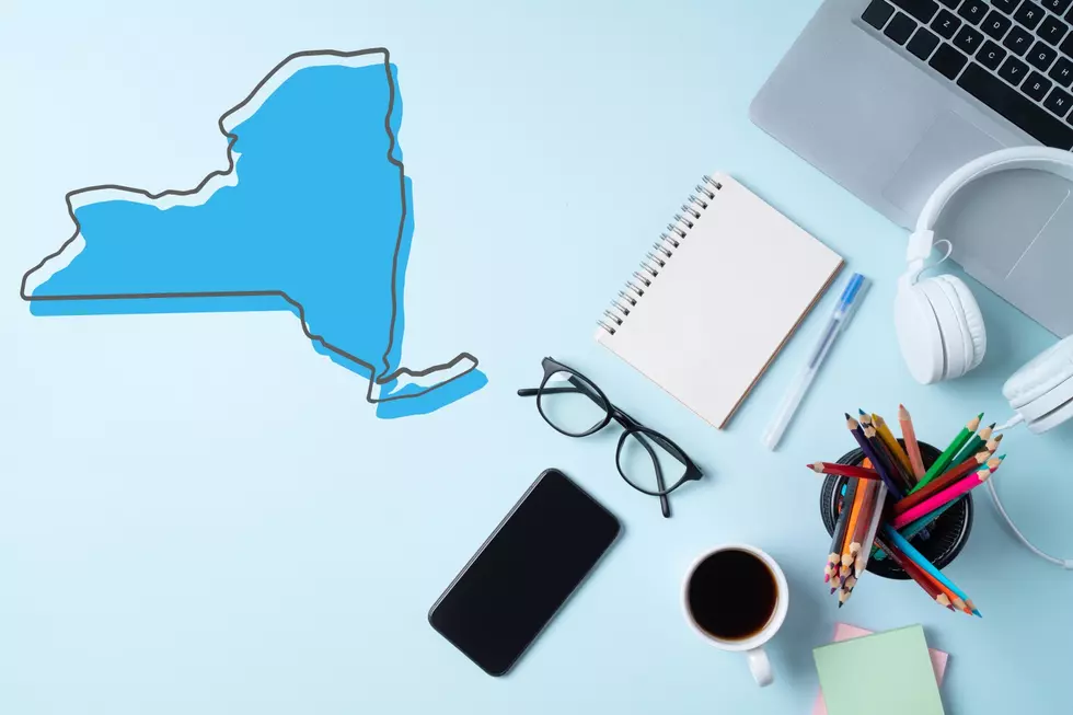 The Best Online College Program In New York State
