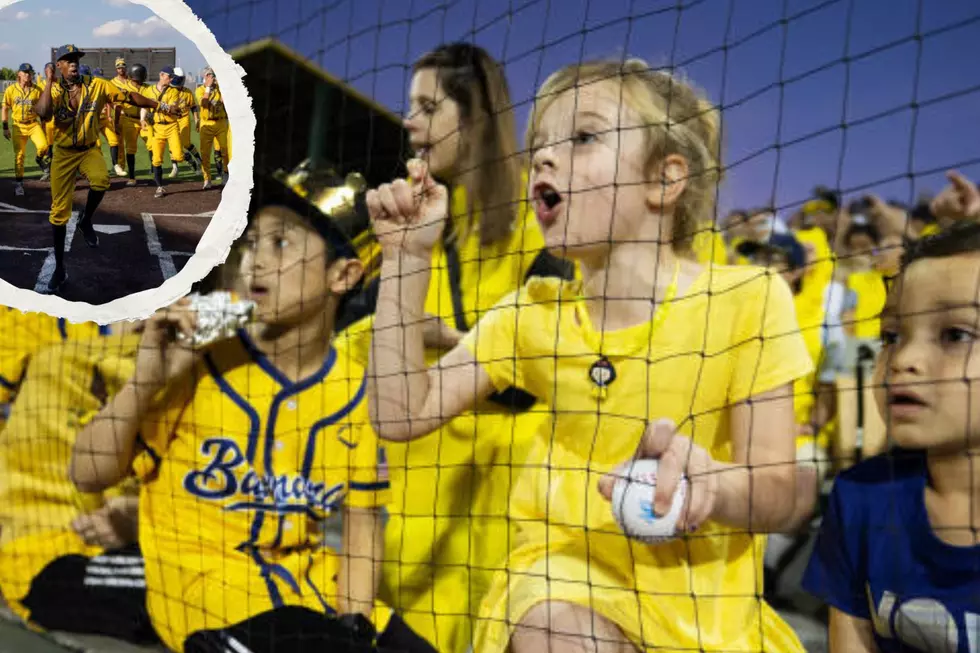 Devastated Savannah Bananas Fans Across Western New York