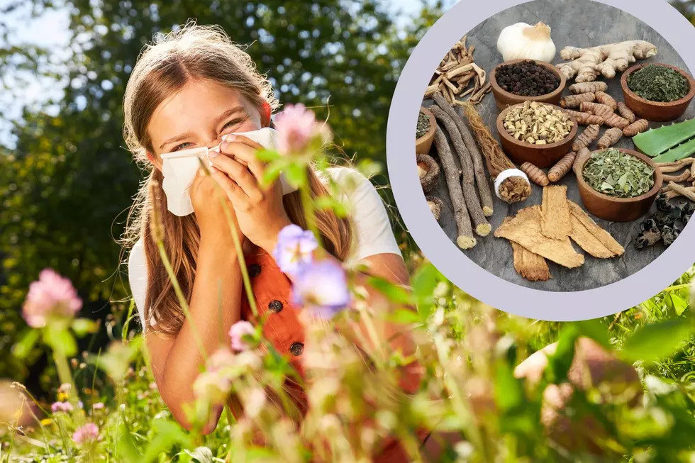 Foods That Help Stop Your Western New York Seasonal Allergies