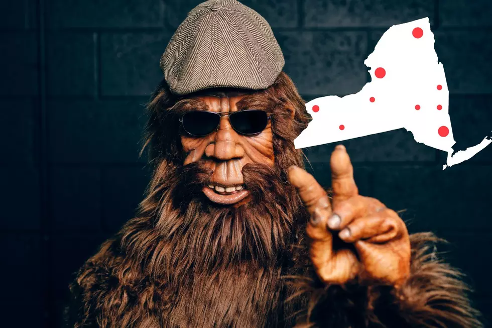 New Bigfoot Map Shows Every Reported Sighting In New York