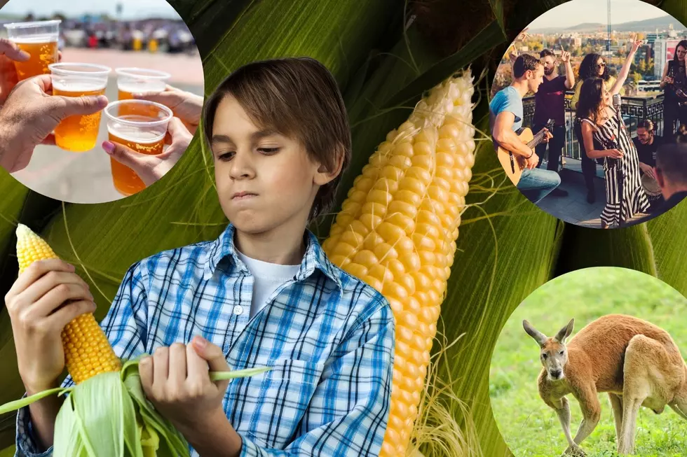 16 Things You Don’t Want To Miss At This Year’s Eden Corn Festival