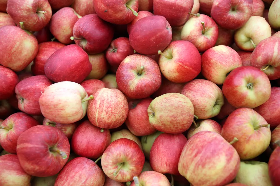 How To Use The Apples That You Just Picked In New York State