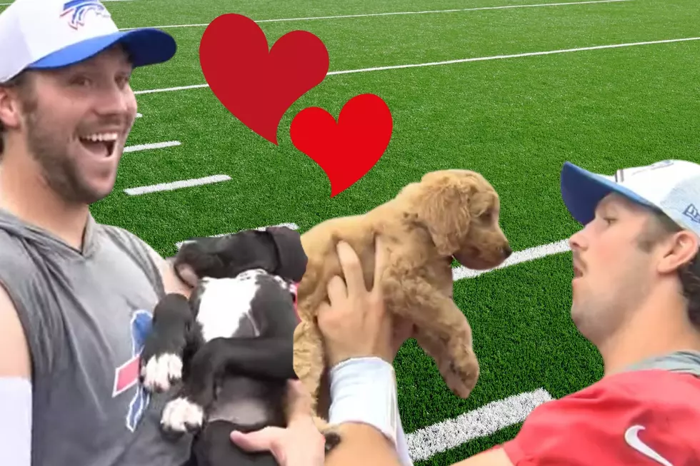 Josh Allen & Puppies: The Best Part Of Bills Training Camp