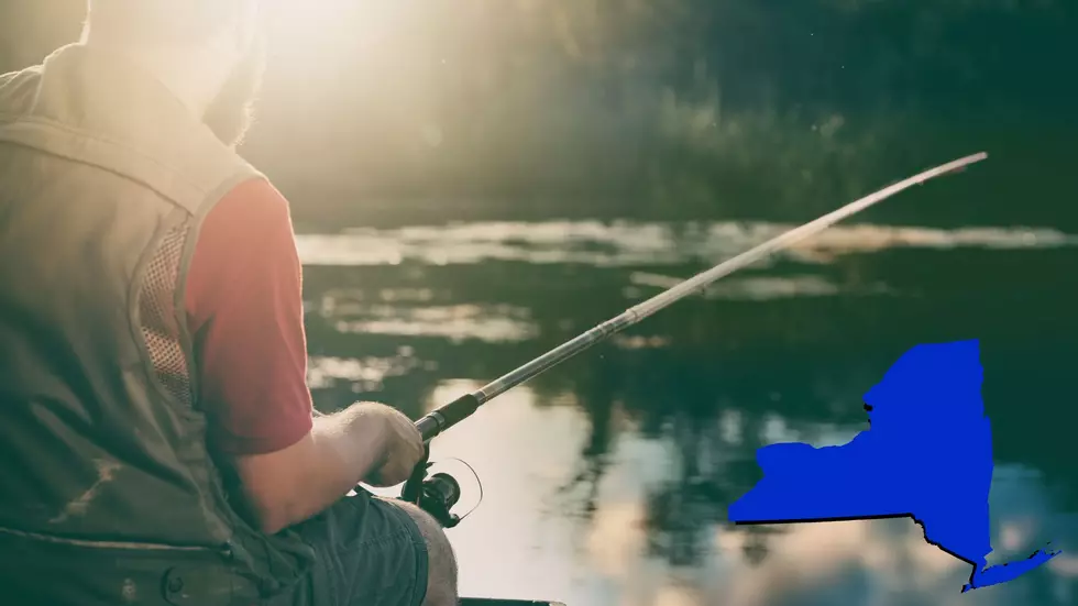 5 Places For Fishing In Western New York