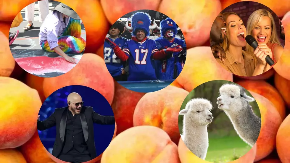 Best Weekend Events For Sept. 6-8 In Western New York
