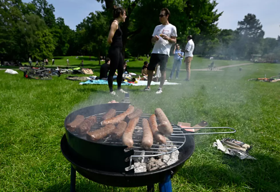 Outdoor Grilling In New York State May Be Changing