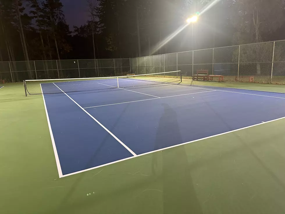 Erie County Needs To Do This Before Spring At Chestnut Ridge Park