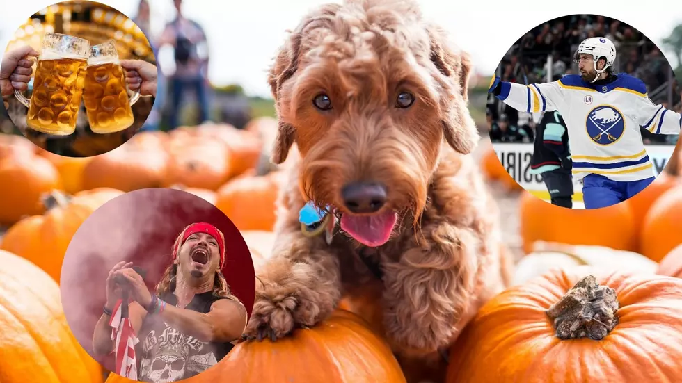 Best Weekend Events For October 11-13 In Western New York