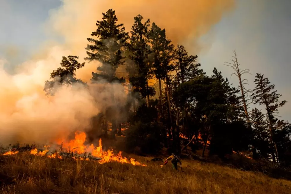 ALERT: FIRE RISK For These Areas Of New York State