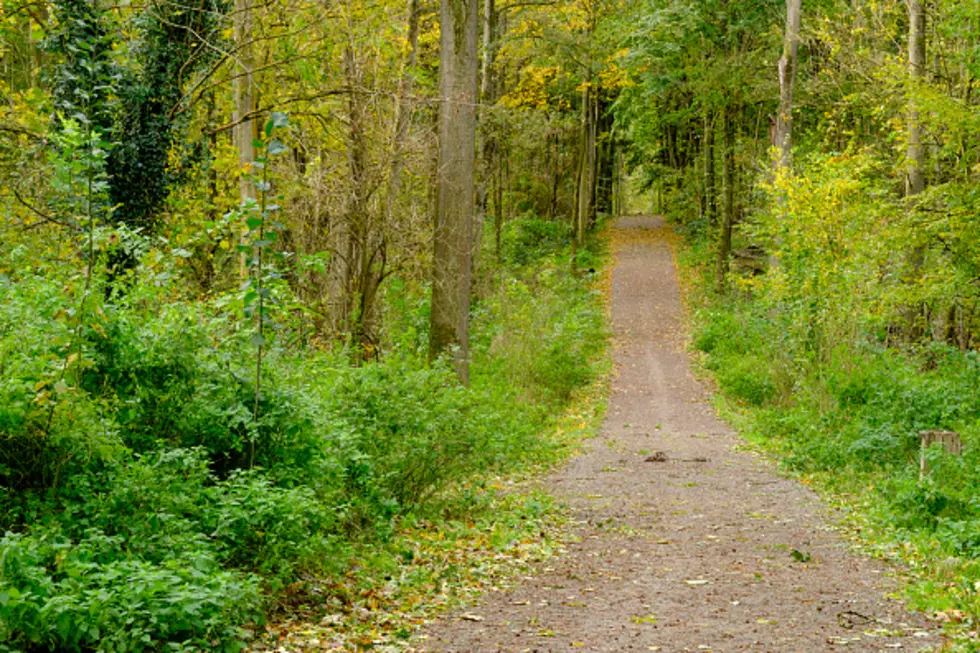 BEWARE These “Stickers” In The Woods In New York State