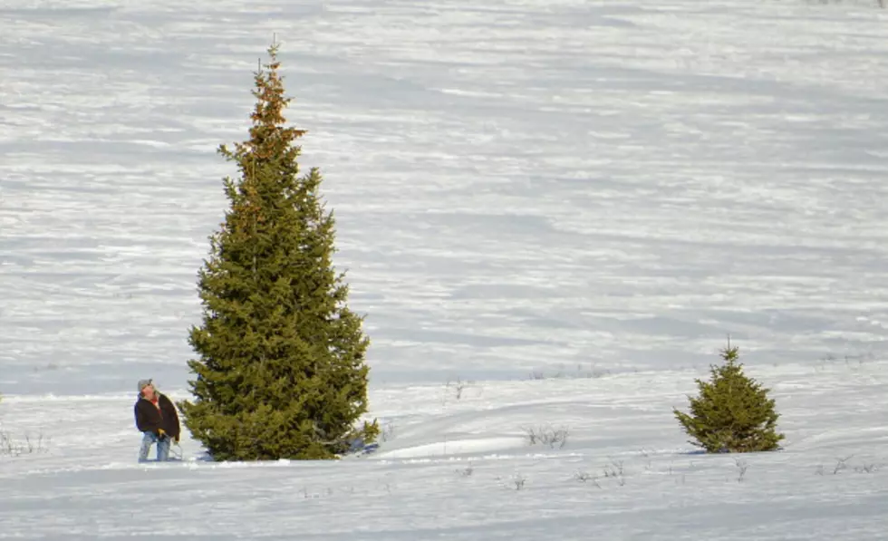 This Is New York State’s PERFECT Holiday Town