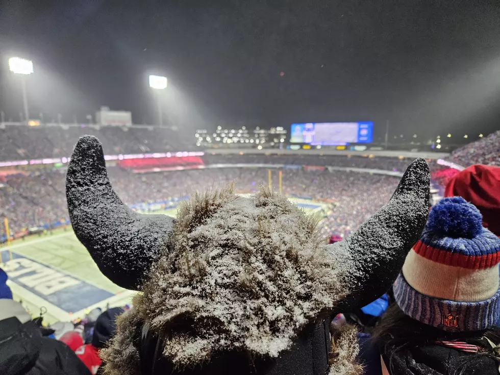 New Buffalo Version of “Mr. Brightside” by Mafia Babes + Goo Goo Dolls