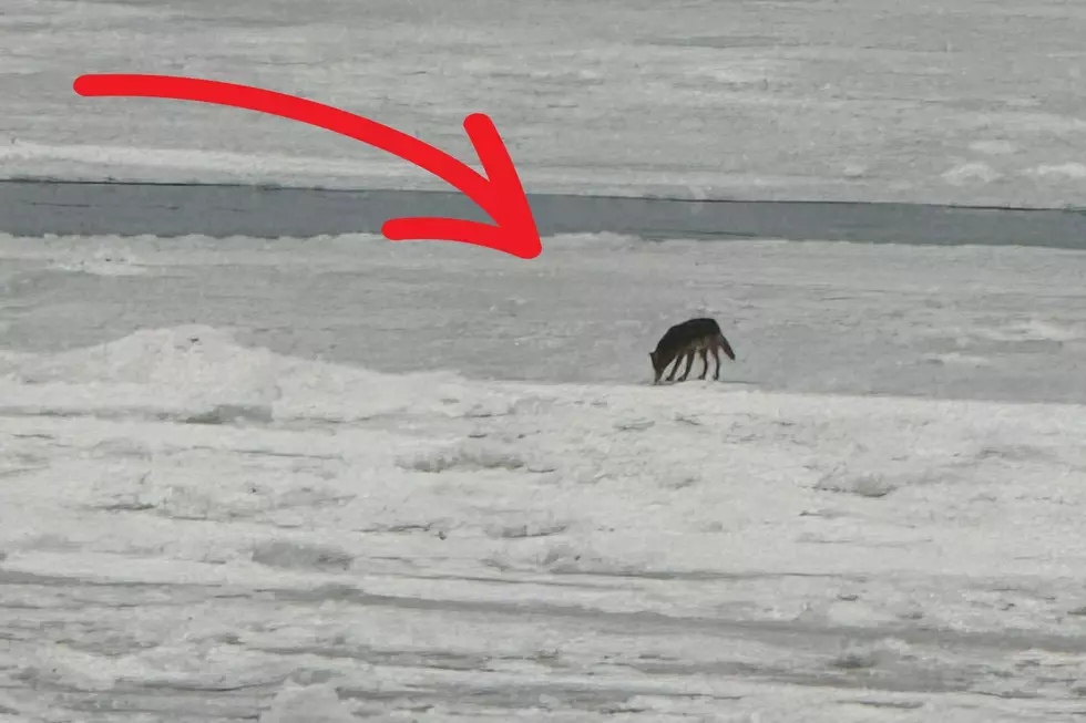 Jaw Dropping Sight On Lake Erie In Western New York