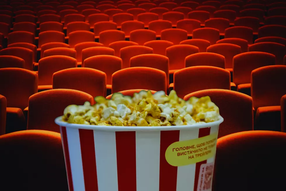 21 Old Movie Theatres We Loved In Western New York