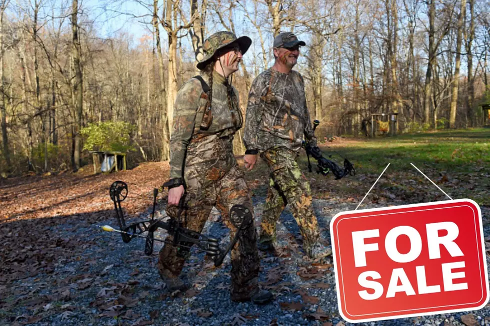 Perfect Hunting Land For Sale In New York State