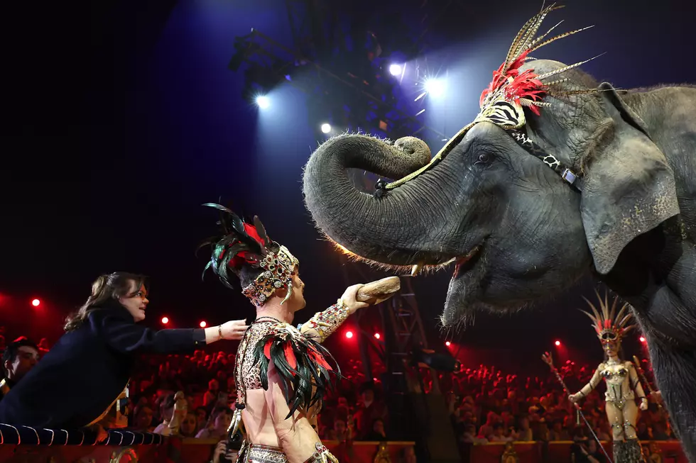 Amazing, Circus on the Water Stopping All Over New York State