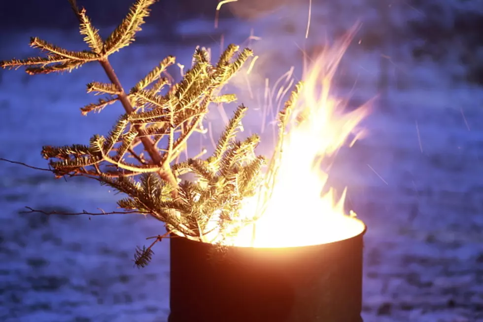A Burning Barrel Ban In Effect In New York State?