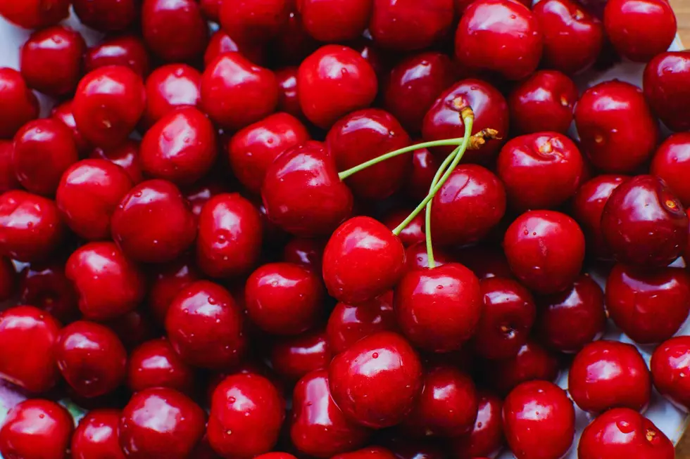 The Best Places To Pick Your Own Cherries In Western New York