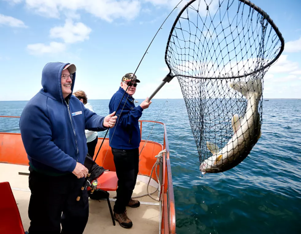 New York State Record Walleye Is A Monster!