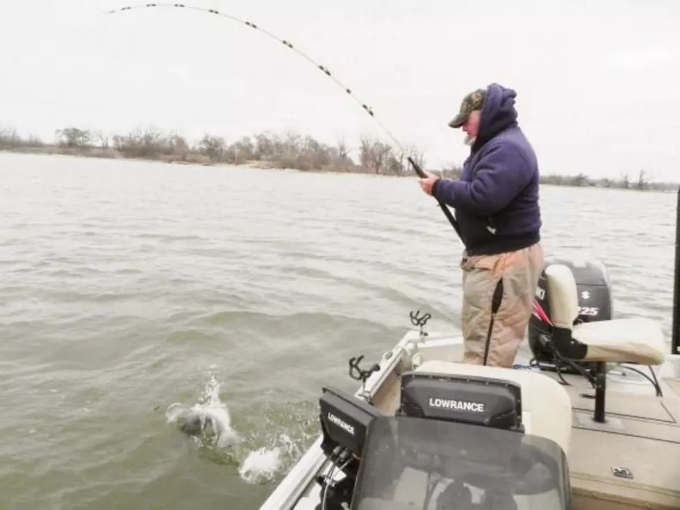 Monster Sized Catfish Is A New York State Record!