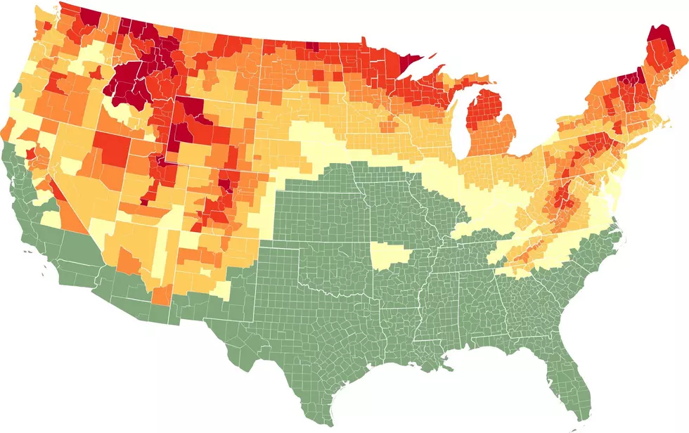 The Fall Foliage Map Shows The Best Leaf Peeping Places In New York For 2025