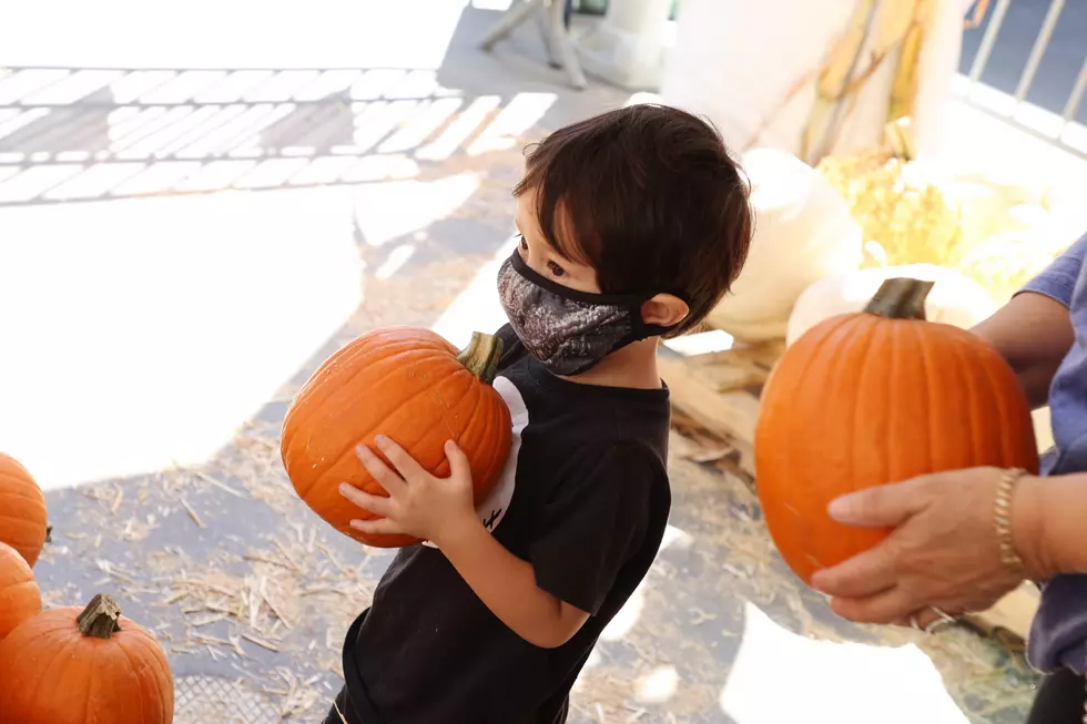 New York State Banning Candles Inside of Pumpkins?