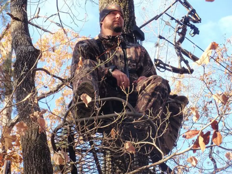 The Bow Hunting Forecast Revealed For New York State