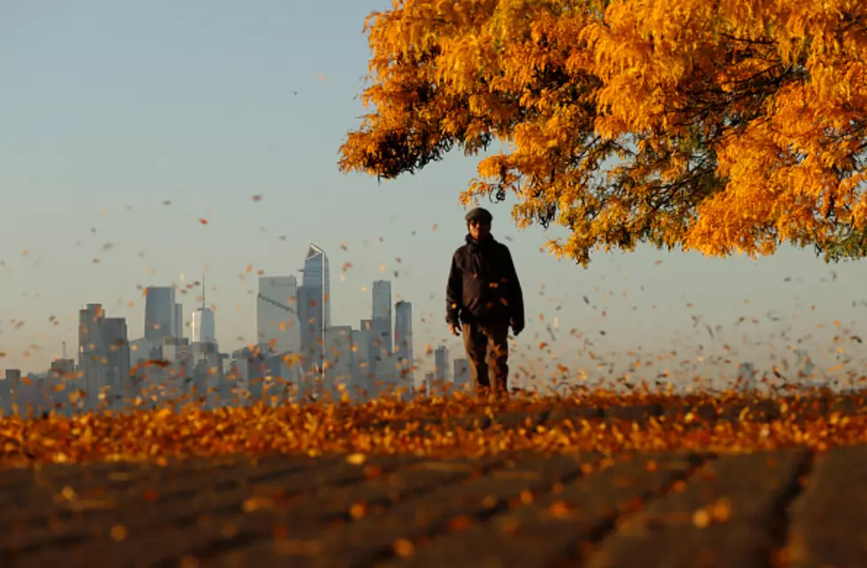 Proof The Fall In New York City CRUSHES Other Places
