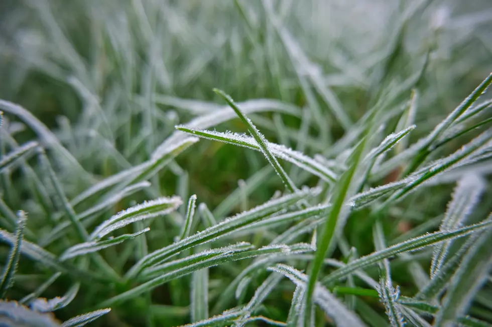 Western New York Facing Another Frost Advisory Tonight