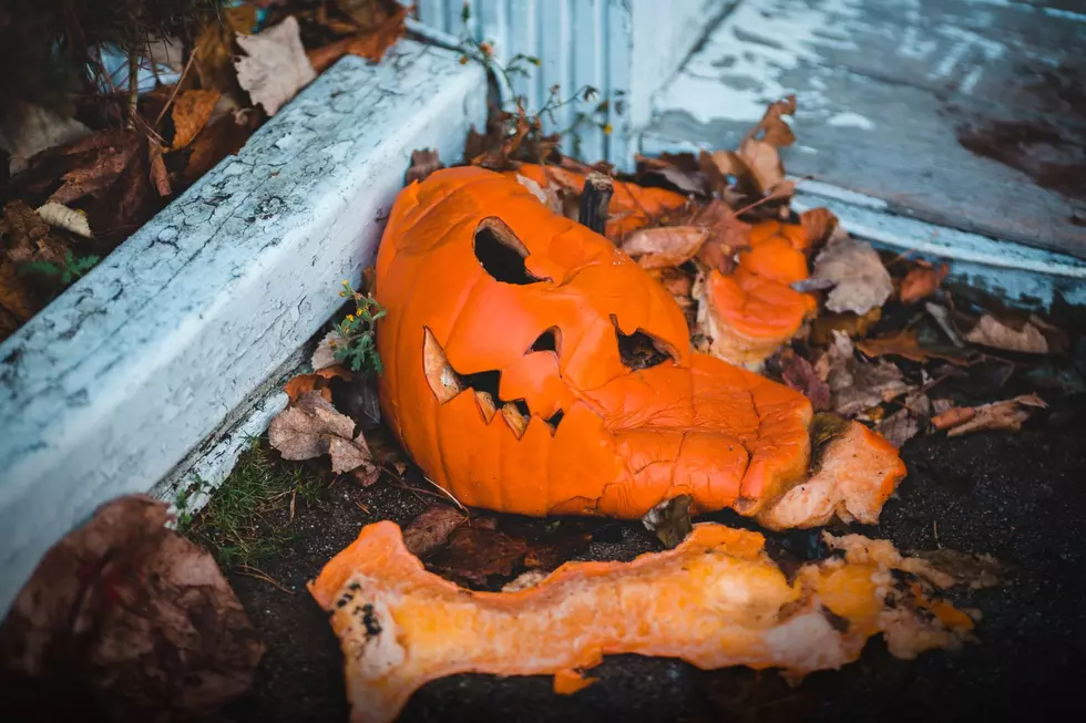 7 Ways To Use Your Leftover Pumpkins From Halloween In Western New York