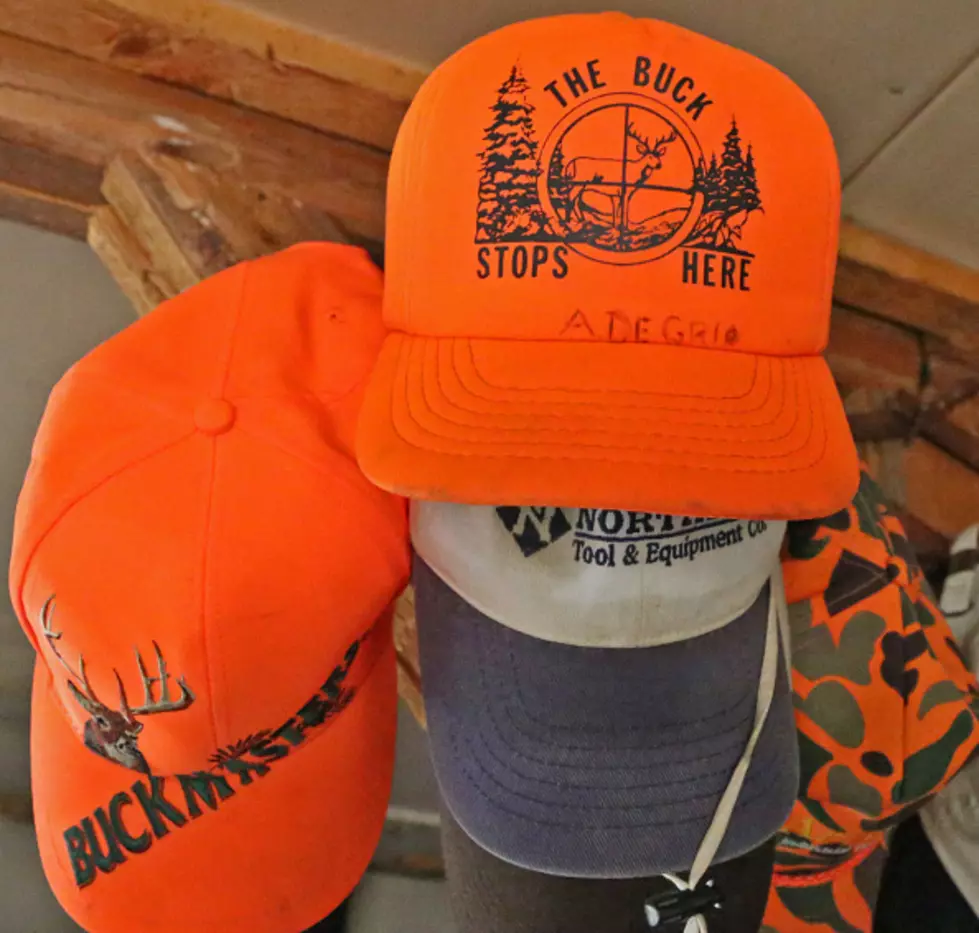 The “New Hunter Law” Being Enforced In New York State