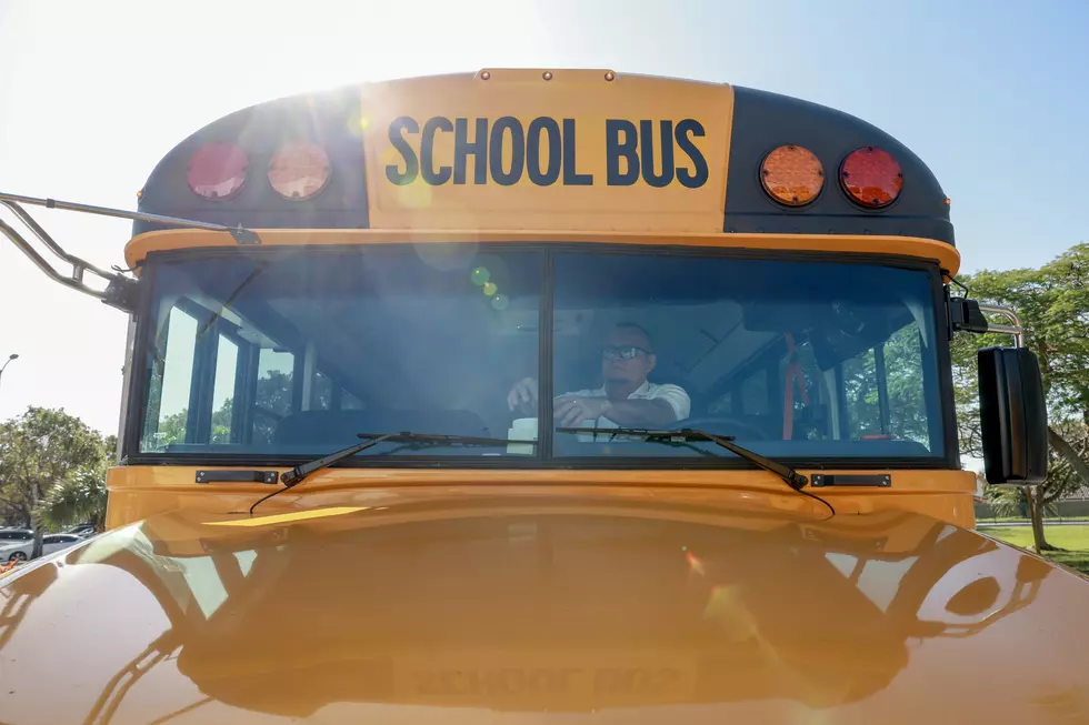 4 Days off in November for Public New York State Schools