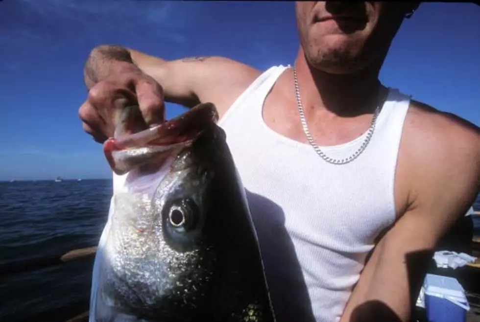 THREE Enormous Fish Caught In New York State This Year