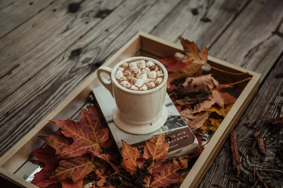 The Best Places For Hot Chocolate In Western New York