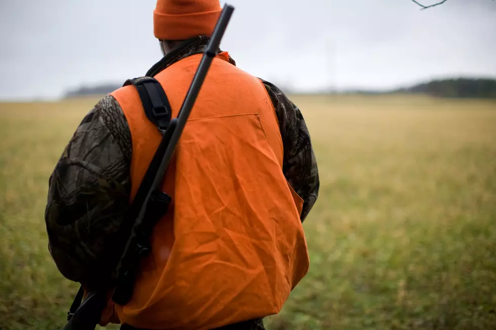 Changes Coming to Trapping Laws in New York State