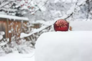 White Christmas Happening This Year In Western New York?