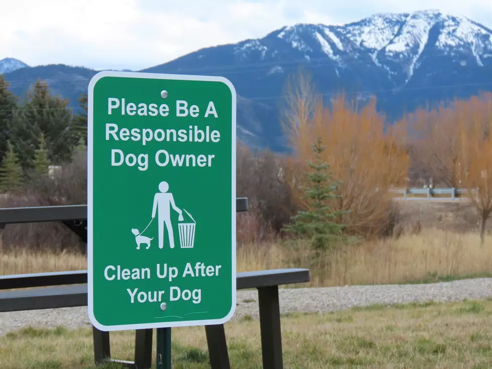 5 Companies That Will Pick Up Your Dog Poop In Western New York