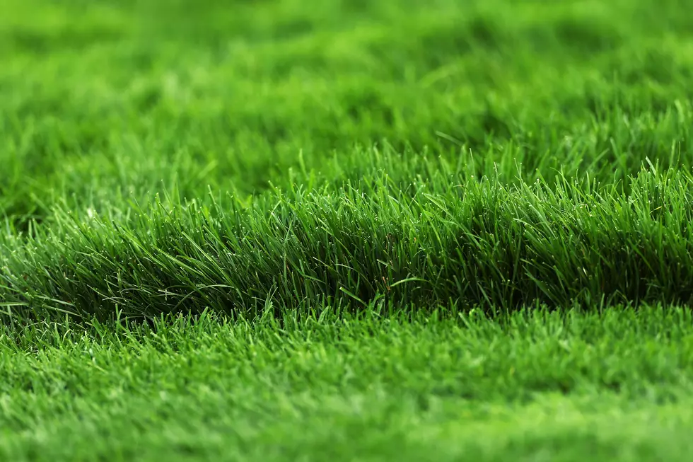You CANNOT Do This To Your Lawn Before Tomorrow in New York State